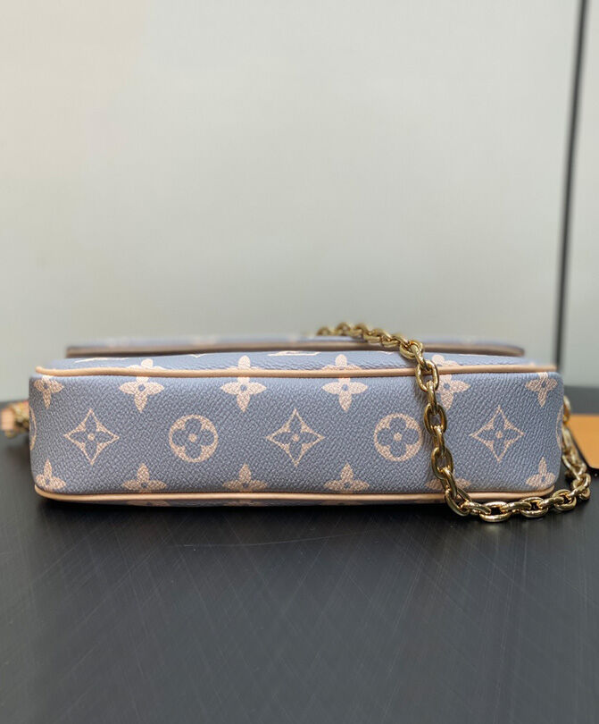 Louis Vuitton Wallet on Chain Ivy M12778 Gray